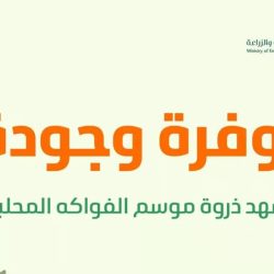 وزارة الحج: 8 إجراءات للعناية بذوي الإعاقة في المسجد الحرام