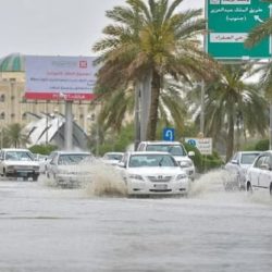 يجدد الدم ويحسن صحة القلب.. فوائد التبرع بالدم