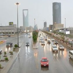 حرس الحدود يحبط تهريب 385 كيلوجرامًا من القات و10 كيلوجرامات من الحشيش