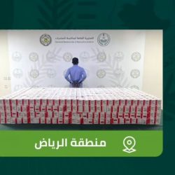 صعود أسهم 117 شركة.. مؤشر سوق الأسهم السعودية يغلق مرتفعًا