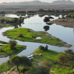 “تعليم المدينة” يحتفي باليوم الدولي لمحو الأمية