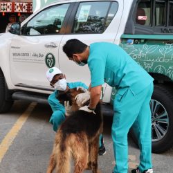 لا للتحذيرات المجهولة.. “الخضيري”: كل أنواع الجبن بالأسواق خاضعة للرقابة الرسمية