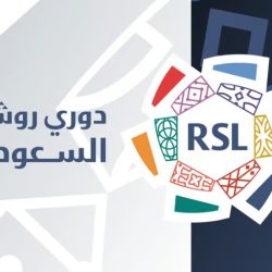 خلال أسبوع من إطلاق حزم البيانات.. إقبال كبير لزوار البوابة الجيولوجية الوطنية