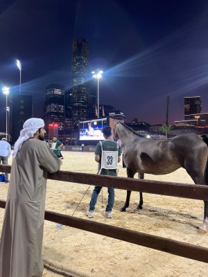 الفياض: ما نشاهده في جولة الرياض يجلب الفخر