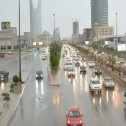 افتقار بلدة الشق جنوب حائل لأبراج موبايلي يثير استياء الأهالي