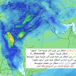 المرور السعودي: استخدام “الجوّال” يتصدَّر مسبّبات الحوادث المرورية في منطقة الجوف