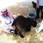 طريق جديد يربط طريق جدة- مكة بالمشاعر و الدائري الثالث