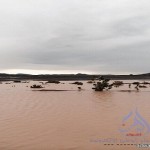 وزارة الصحة : تسجل إصابة حالة جديدة بفيروس “كورونا” بالطائف