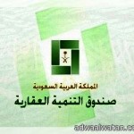 دوريات أمن الرياض توقع بلص إطارات السيارات