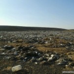 الشباب يودع كأس ولي العهد بأكبر مفاجأة والنصر والأهلي يضربون موعد بدور الثمانية