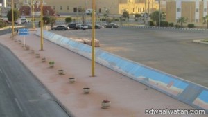 بلدية طريف : تنفيذ مشاريع طرق حديثة وتزيين جداريات شوارع المحافظة
