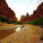 رصدت عدسة الزميل إبراهيم الموسى المصور المميز عدداً من الصور الفوتوغرافية التي تنوعت في عدداً من المواقع بمنطقة تبوك كهدية لقراء الصحيفة للتعرف على ما تحتويه المنطقة من معالم مميزة.